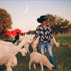 Meet your Posher, Don